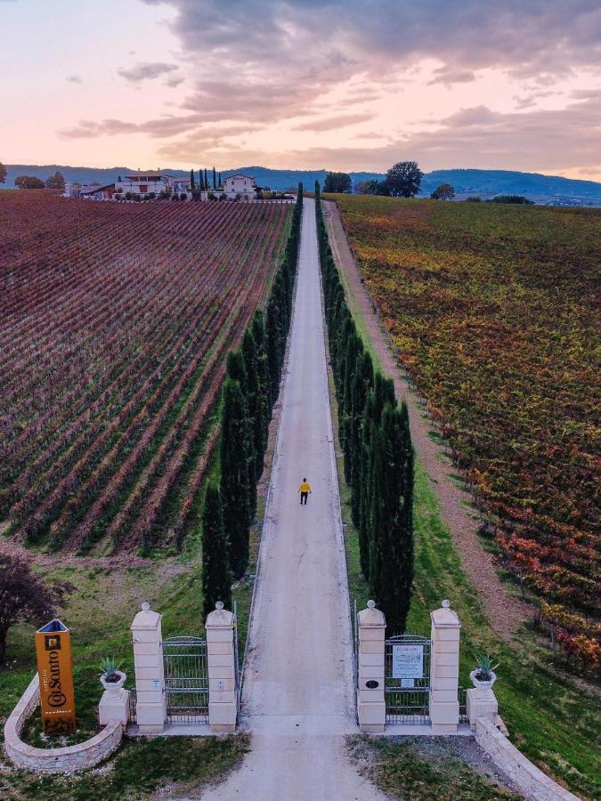 Torre del Colle Fattoria Colsanto 빌라 외부 사진
