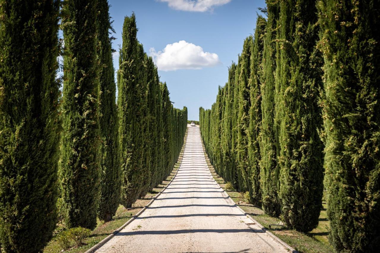 Torre del Colle Fattoria Colsanto 빌라 외부 사진