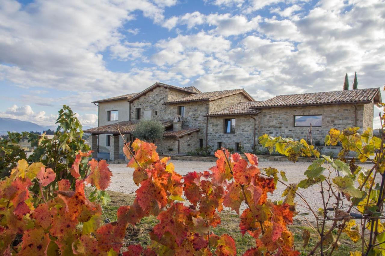 Torre del Colle Fattoria Colsanto 빌라 외부 사진